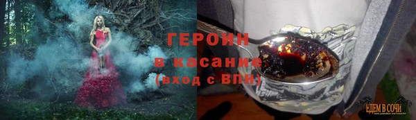 PSILOCYBIN Алзамай
