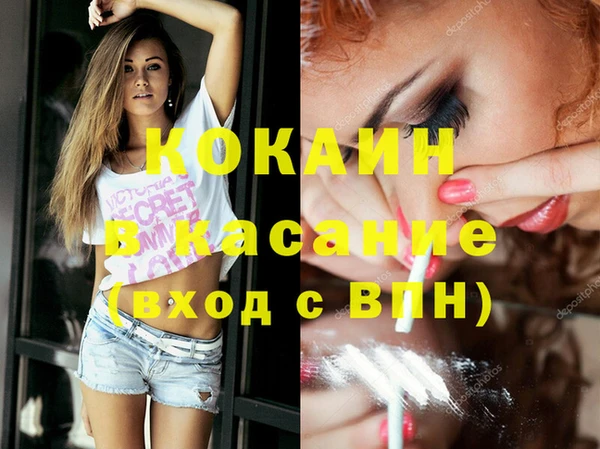 PSILOCYBIN Алзамай
