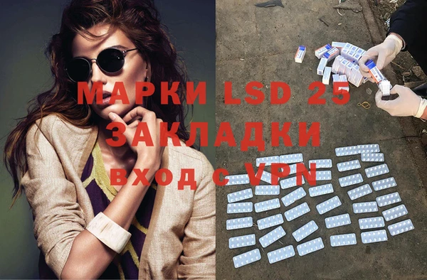 PSILOCYBIN Алзамай