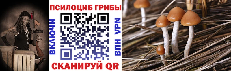 kraken ССЫЛКА  Кувшиново  Галлюциногенные грибы ЛСД  хочу наркоту 